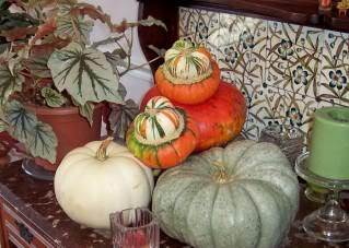 Season of the Pumpkin